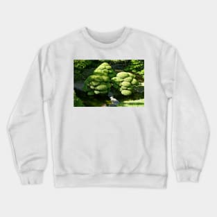 SF Japanese Tea Garden Study 6 Crewneck Sweatshirt